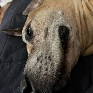 Meet your Posher, Renee